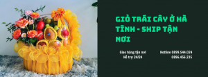 Giỏ Trái Cây Ở Hà Tĩnh-Ship Tận Nơi